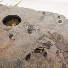 Load image into Gallery viewer, SOLD - DELUXE Classic Slate Vase