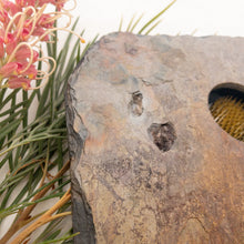 Load image into Gallery viewer, SOLD - DELUXE Classic Slate Vase