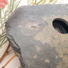 Load image into Gallery viewer, SOLD - LARGE, Classic Vase