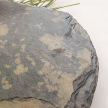 Load image into Gallery viewer, SOLD - LARGE, Classic Vase