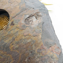 Load image into Gallery viewer, SOLD - DELUXE Classic Slate Vase