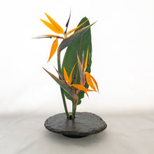 Load image into Gallery viewer, SOLD - LARGE, Classic Vases