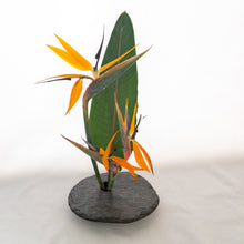 Load image into Gallery viewer, SOLD - LARGE, Classic Vases