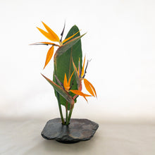 Load image into Gallery viewer, SOLD - LARGE, Classic Vases