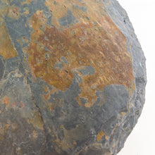 Load image into Gallery viewer, SOLD - LARGE, Classic Vases