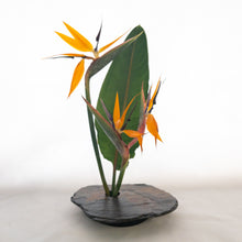 Load image into Gallery viewer, SOLD - LARGE, Classic Vases