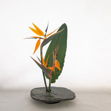 Load image into Gallery viewer, SOLD - LARGE, Classic Vases