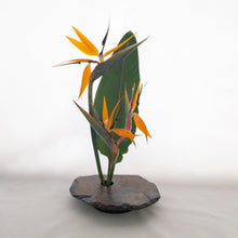 Load image into Gallery viewer, SOLD - LARGE, Classic Vases
