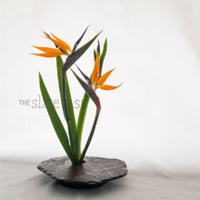Load image into Gallery viewer, deluxe vase with birds of paradise stemsnt