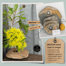 Load image into Gallery viewer, SOLD - MEDIUM, Classic Slate Vase