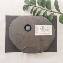 Load image into Gallery viewer, SOLD - LARGE, Classic Vase