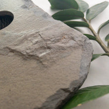 Load image into Gallery viewer, SOLD - MEDIUM, Classic Slate Vase