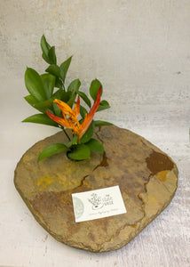 flower in DELUXE classic vase