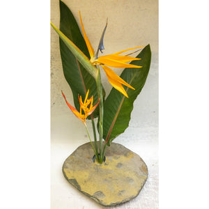Bird of Paradise and heliconia stem with greenery leaves, in deluxe classic vase