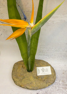 classic LARGE vase with arrangement