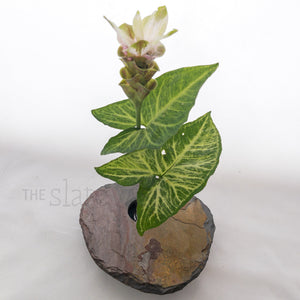 ginger arrangement in slate stone vase medium