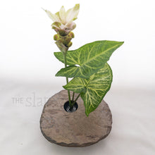 Load image into Gallery viewer, SOLD - MEDIUM, Classic Slate Vases
