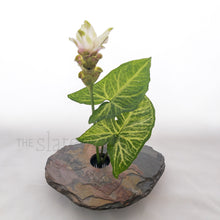 Load image into Gallery viewer, ginger arrangement in slate stone vase medium