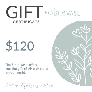 Gift Certificate for $120