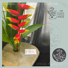 Load image into Gallery viewer, Deluxe Slate Vase with tall Ginger arrangement