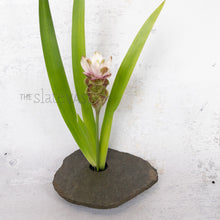 Load image into Gallery viewer, Example arrangment in the Medium sized slate vase