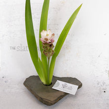 Load image into Gallery viewer, SOLD -  MEDIUM, Classic Slate Vase